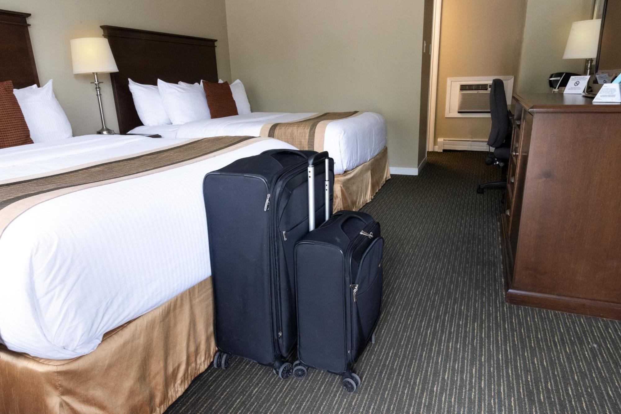 Aurora Inn Kingston Zewnętrze zdjęcie